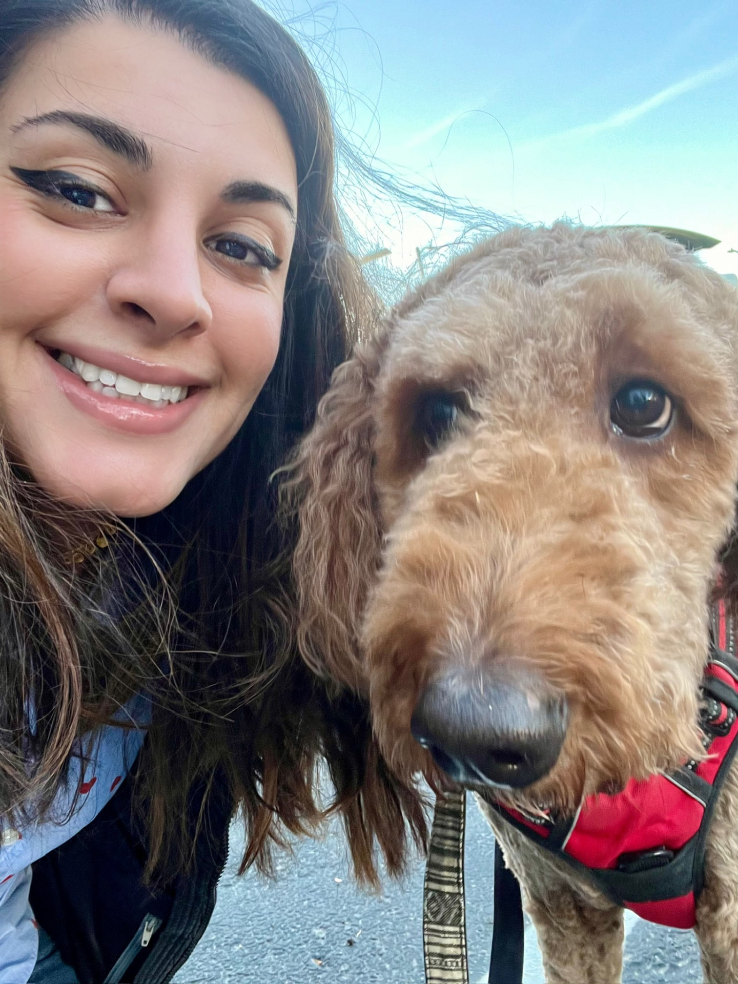 Vesal Yaghoobi, founder of Soup & Story, with his dog